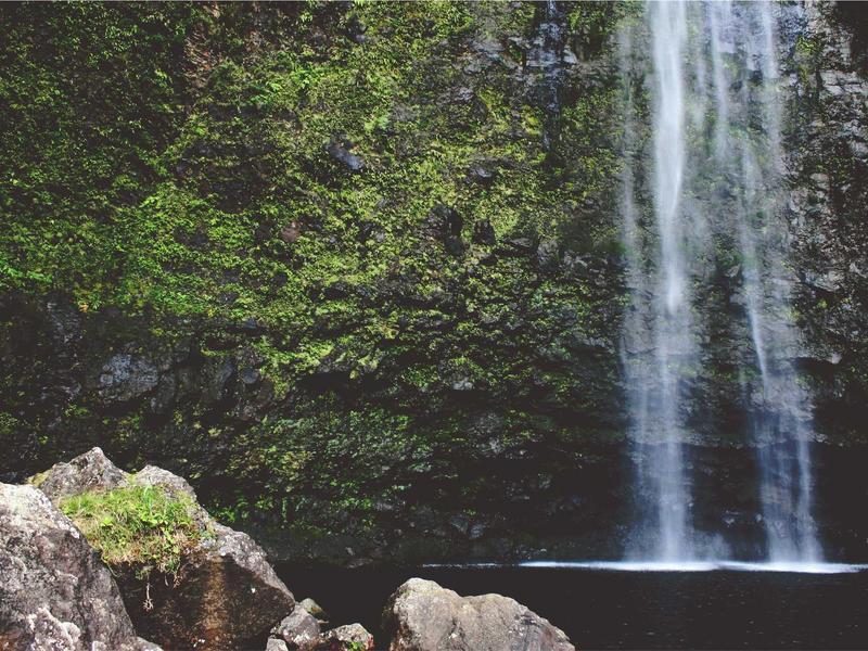 Implementing On-site Medical Waste Treatment in Urban Hospitals