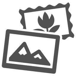 Travel Cosmetic Organizer